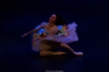 ballet romantique (24)